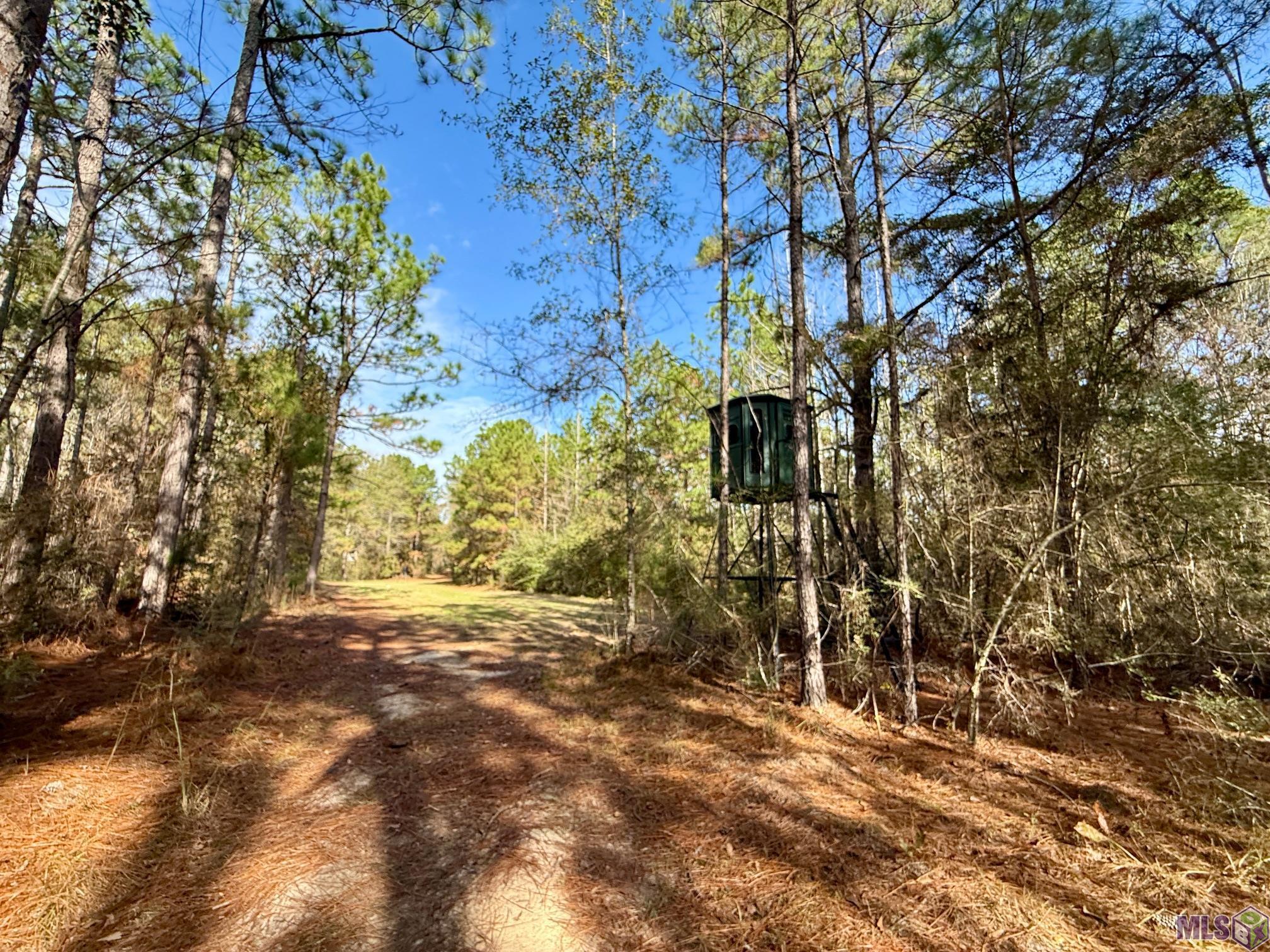 3947 Purvis Columbia Road Lumberton, MS 39455 - Photo 29 of 44 Gallery Image 29