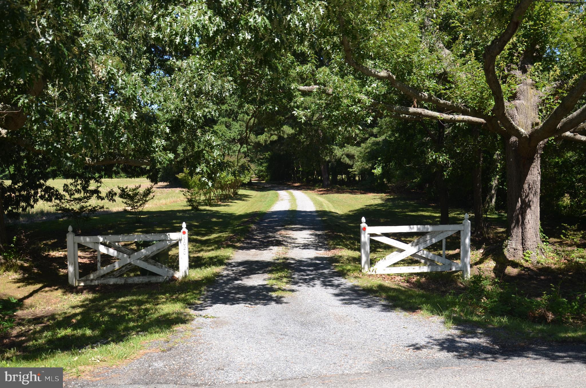 9020 Bozman Neavitt Road St. Michaels, MD 21663 - Photo 5 of 32 Entrance from Rt 579 (Bozman Neavitt Road)