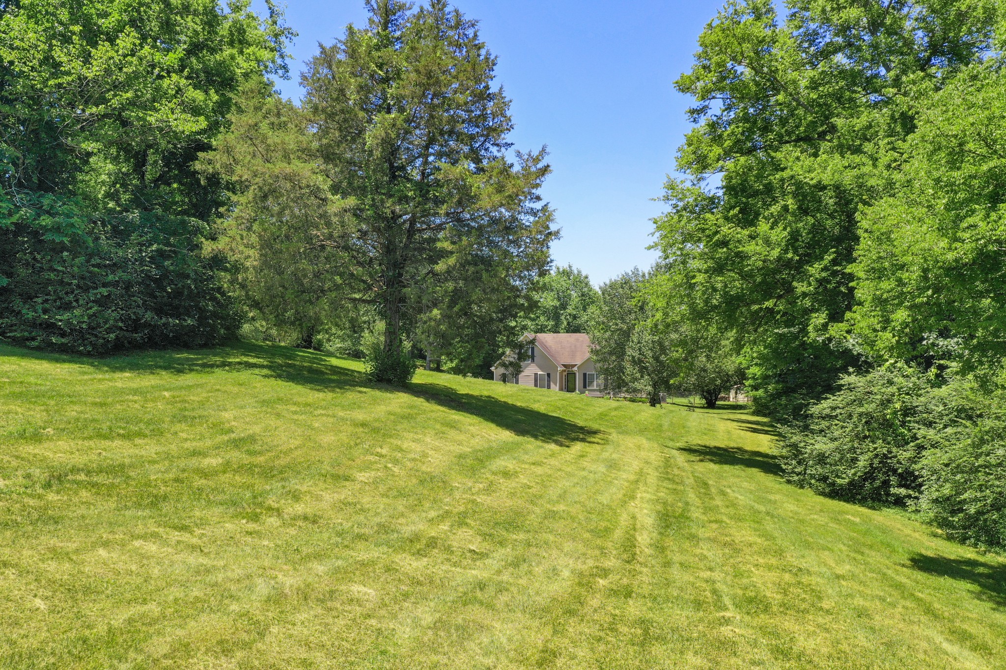 3702 Jimmy Gray Robinson Road Williamsport, TN 38487 - Photo 6 of 43 Gallery Image 6