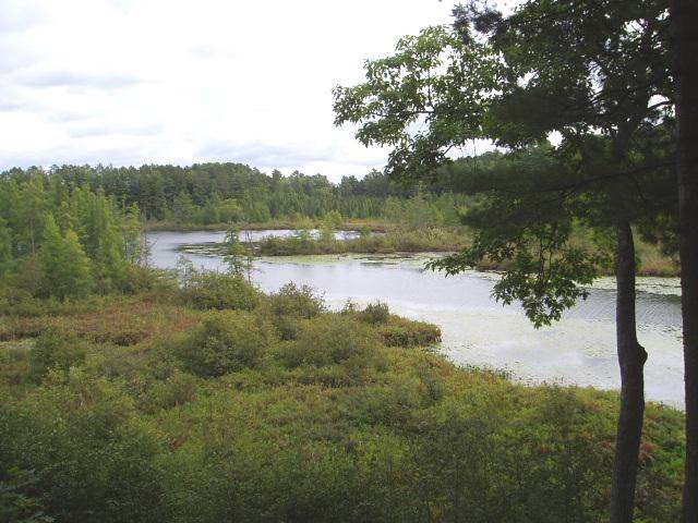 7458 Halverson Road Three Lakes, WI 54562 - Photo 3 of 9 Gallery Image 3