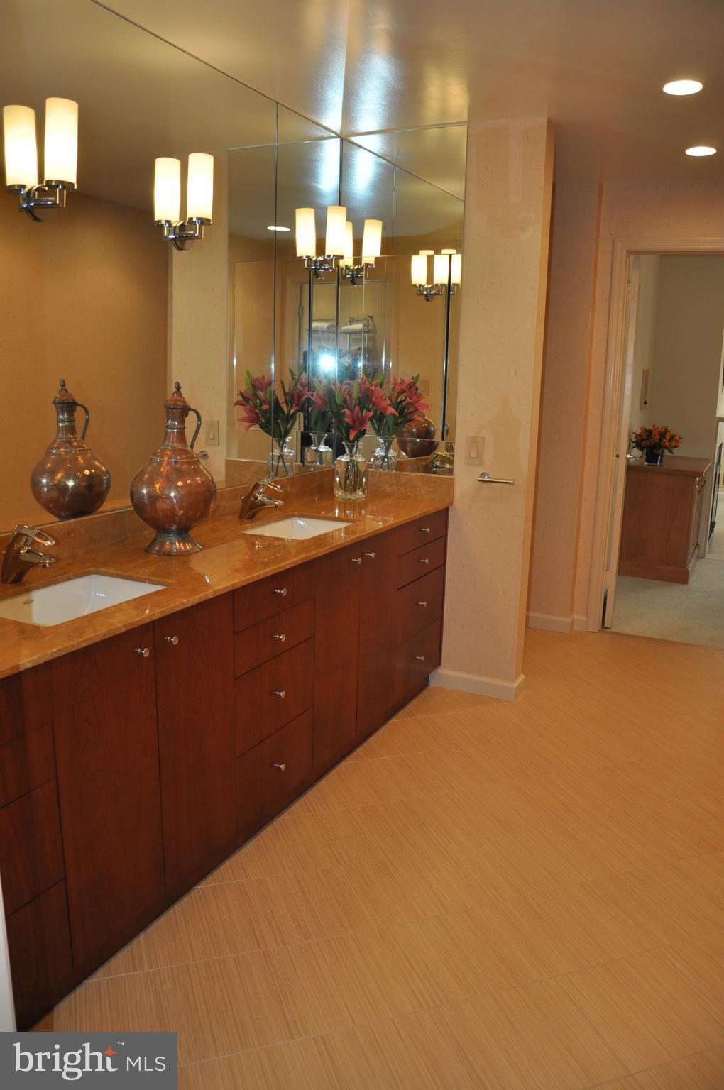 15801 River Road Germantown, MD 20874 - Photo 16 of 28 Bath (Master)