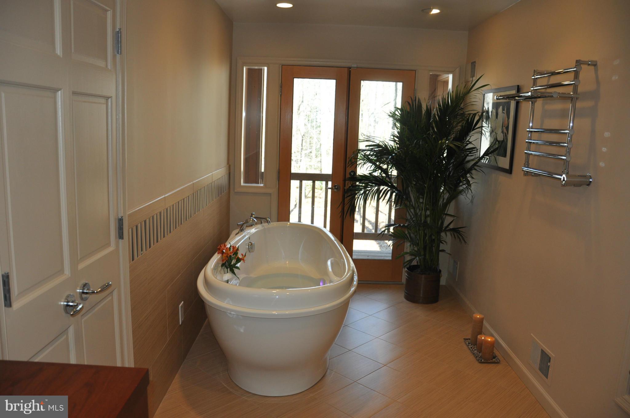 15801 River Road Germantown, MD 20874 - Photo 20 of 28 Bath (Master)