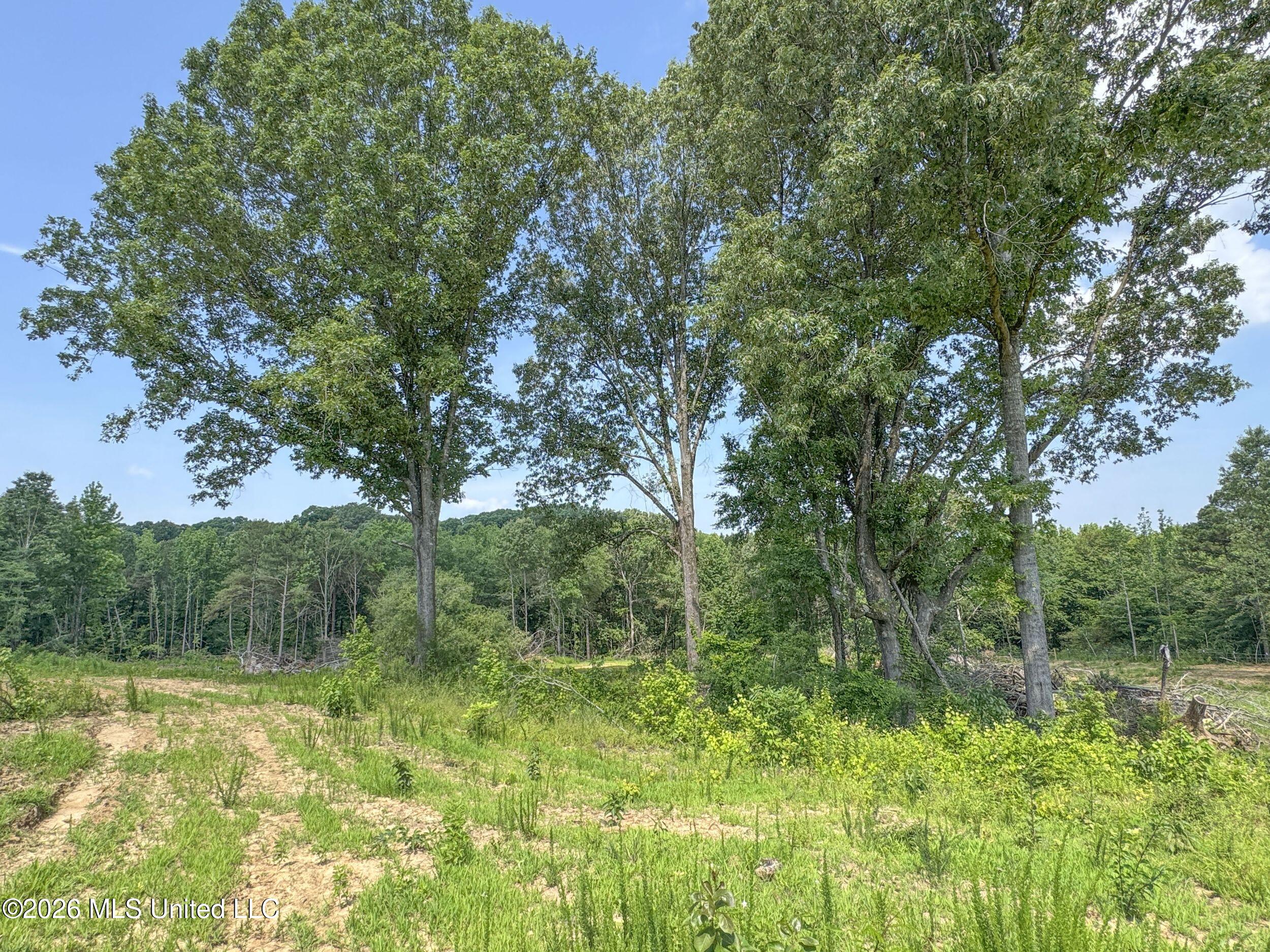 2169 Slocum Road Hernando, MS 38632 - Photo 92 of 94 8slcm56