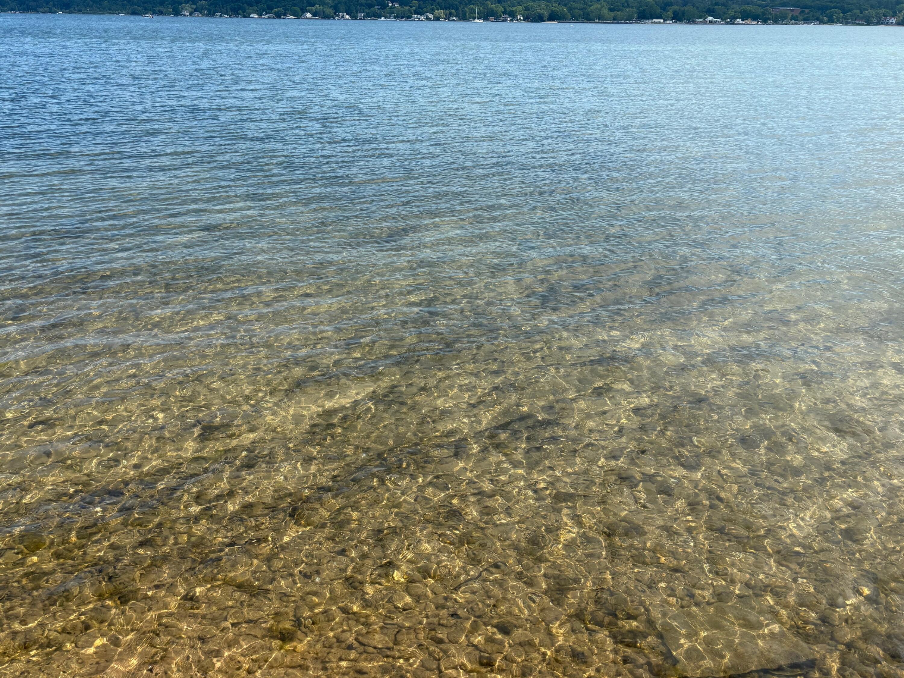 4472 Crescent Beach Road Onekama, MI 49675 - Photo 38 of 38 IMG_6781