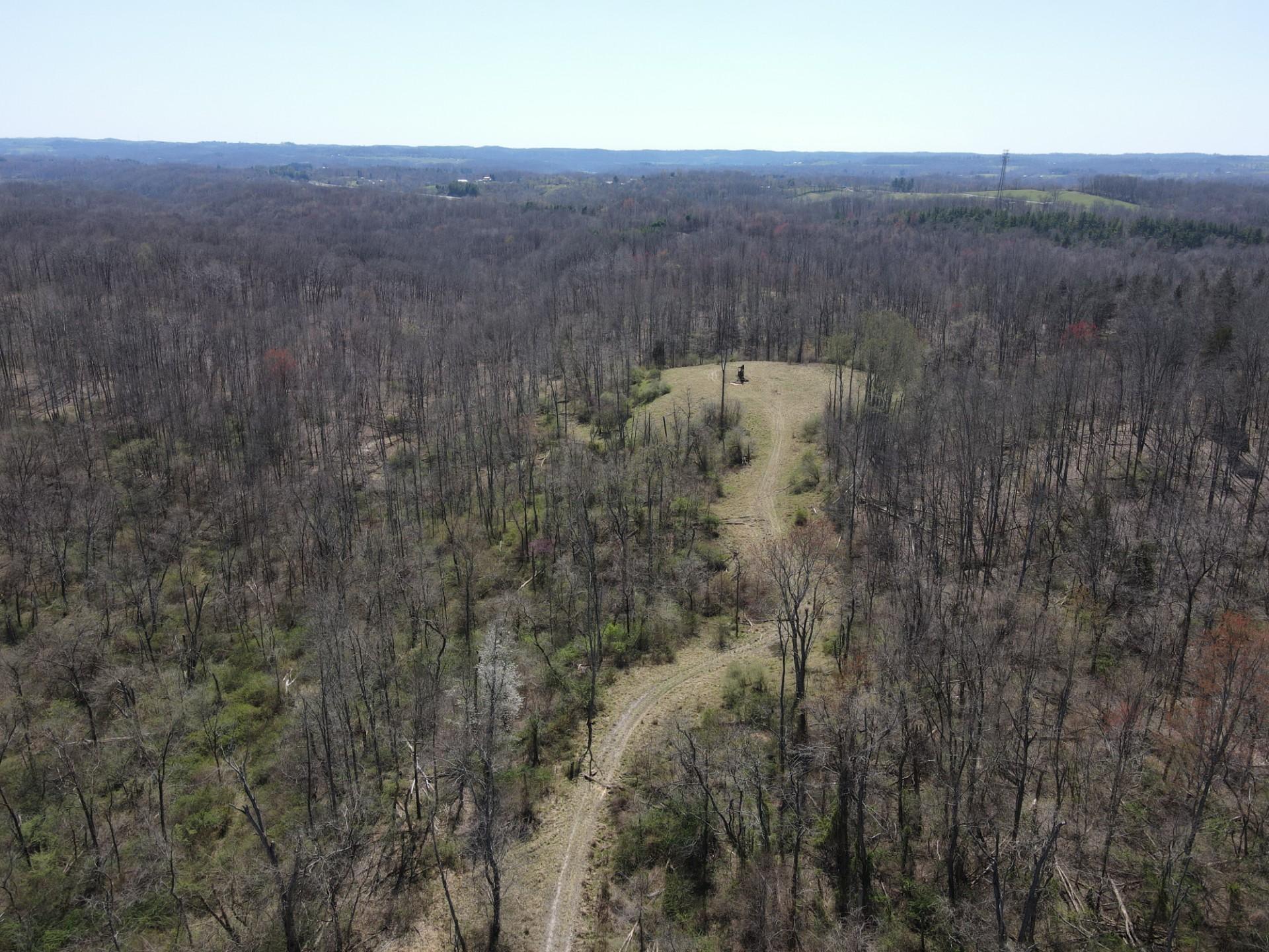 0 Halleys Ridge Road Caldwell, OH 43724 - Photo 2 of 69 IMG_20230502_143844