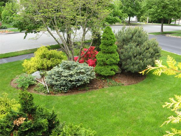 60 Raffaele Drive Waltham, MA 02452 - Photo 18 of 18 Gallery Image 18