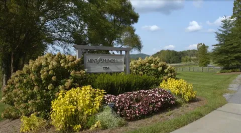 a view of a bunch of flowers and trees