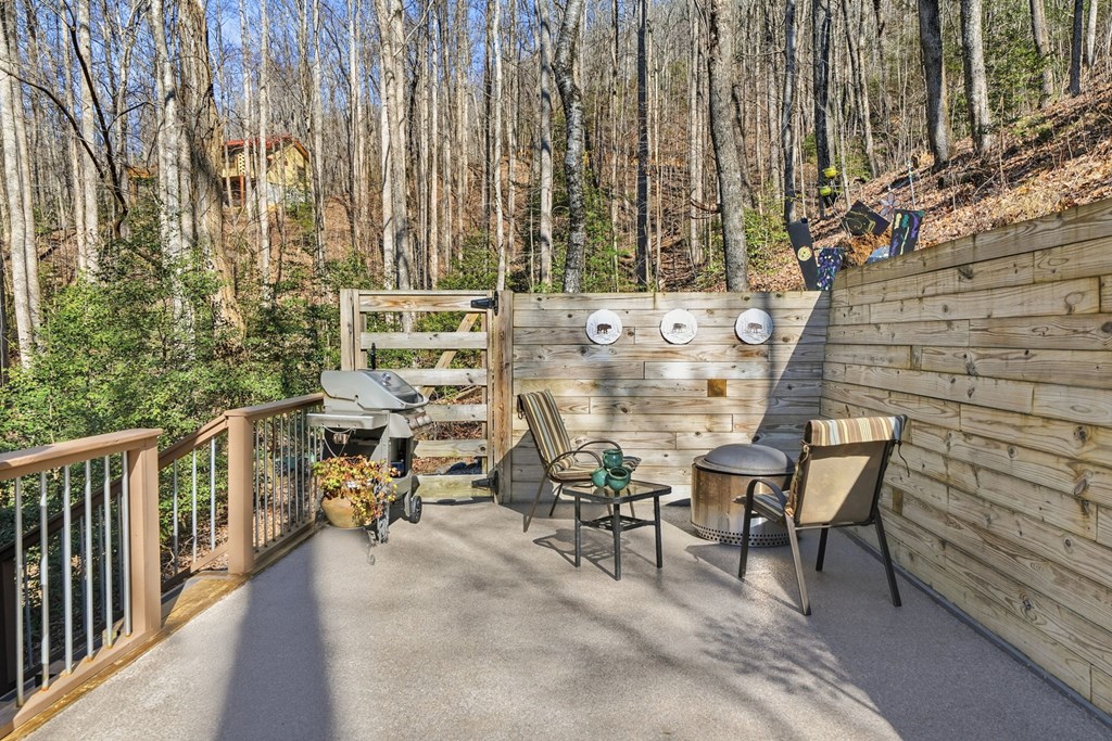 266 Chimney Rock Road Blue Ridge, GA 30513 - Photo 33 of 38
