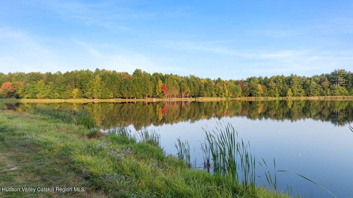 85 Conifer Lake Road West Jewett, NY 12444 - Photo 6 of 50 conifer lake view