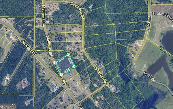 $29,000 | 0 Mathews Road, Roberta, GA 31078