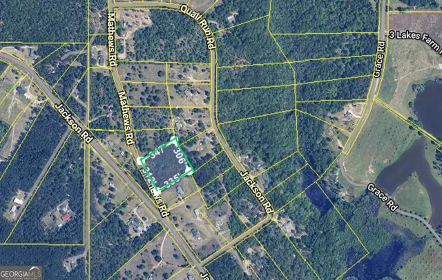 a view of a forest filled with trees