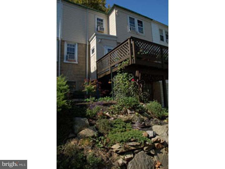 133 Ashby Road Upper Darby, PA 19082 - Photo 23 of 25 Garden