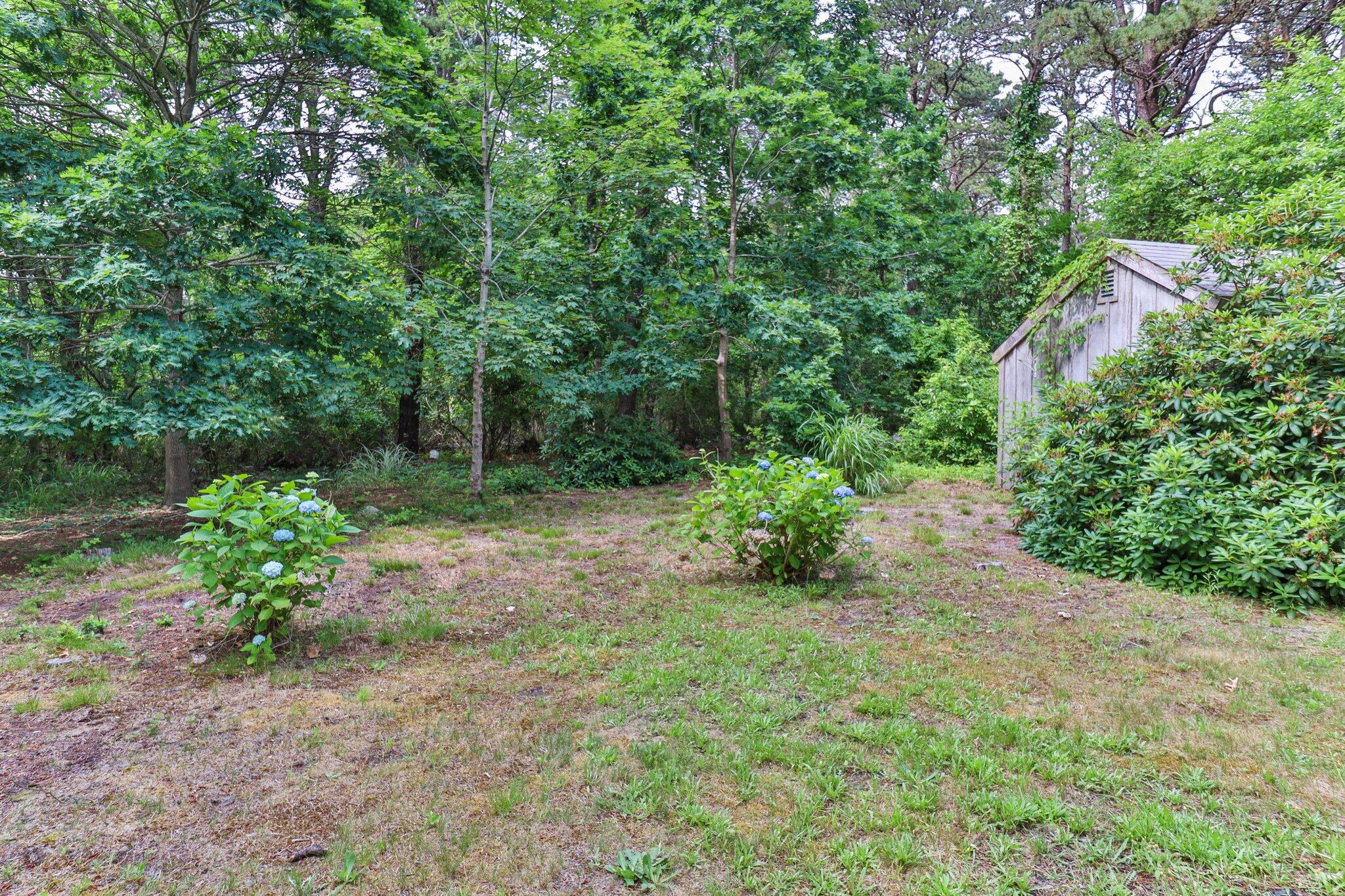 107 Clipper Way Brewster, MA 02631 - Photo 45 of 60 a view of backyard with green space