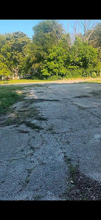 875 North Monroe Street Decatur, IL 62522 - Photo 2 of 11 a view of a yard with an outdoor space