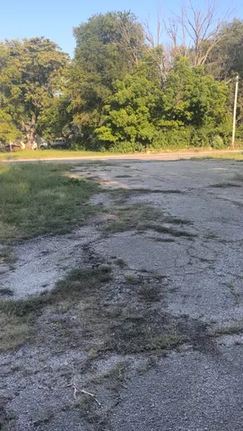 a view of a yard with a wooden floor