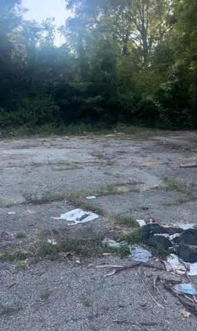 a view of outdoor space yard and green space