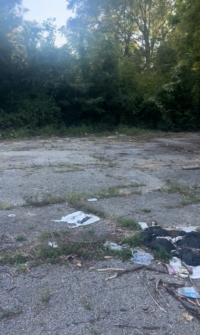 875 North Monroe Street Decatur, IL 62522 - Photo 9 of 11 a view of outdoor space yard and green space