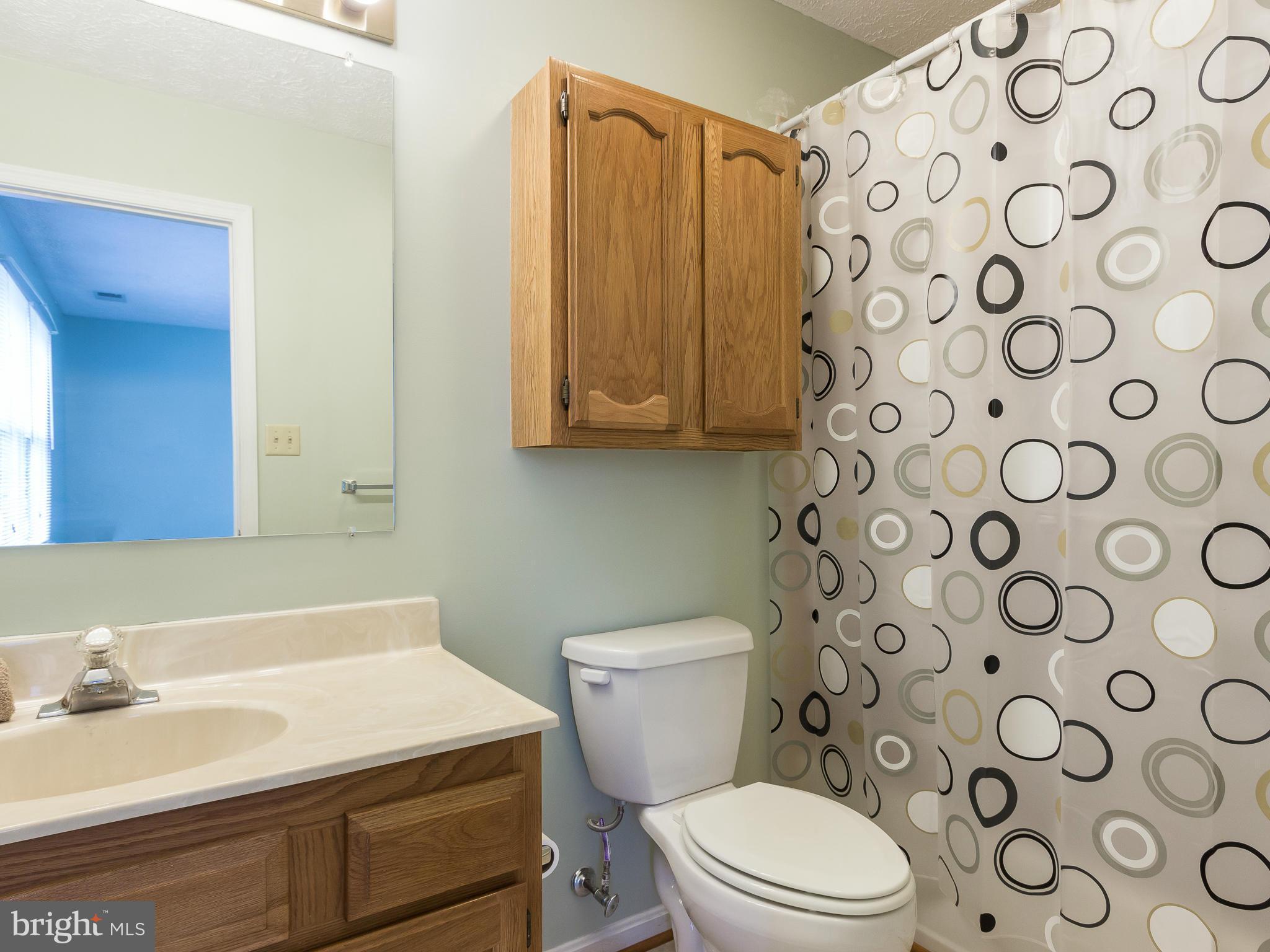 200 Woodrow Road Winchester, VA 22602 - Photo 28 of 30 Bath (Master)