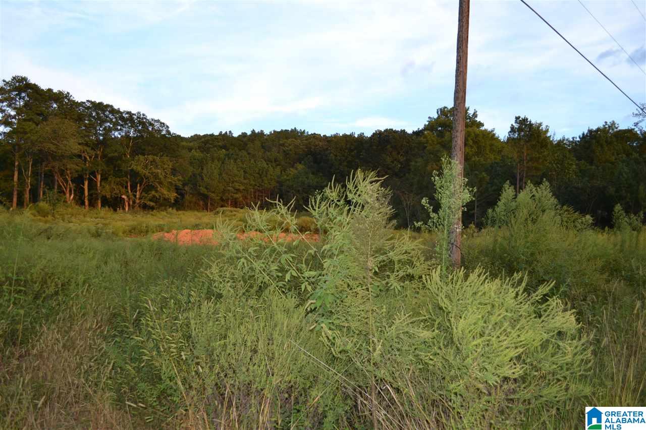 5301 Old Pinson Road, Unit 1 PARCEL Birmingham, AL 35215 - Photo 4 of 4