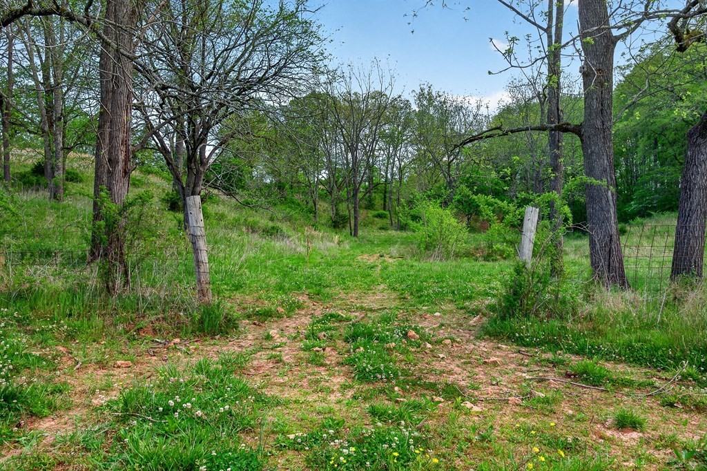 515 Jericho Road Quebeck, TN 38579 - Photo 42 of 60