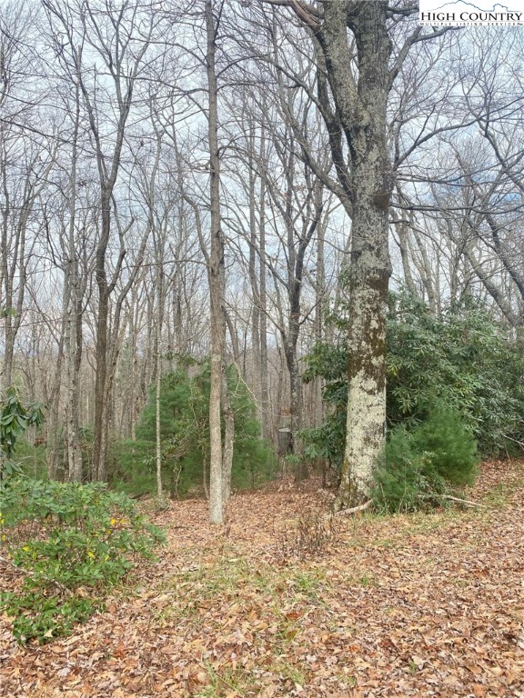 Waterfall Road Sparta, NC 28675 - Photo 3 of 12 Gallery Image 3