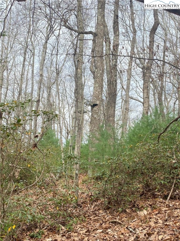 Waterfall Road Sparta, NC 28675 - Photo 4 of 12 Gallery Image 4