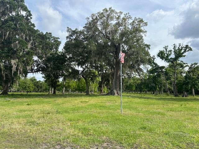 Tbd Corkwood Lane Astatula, FL 34705 - Photo 11 of 41 a backyard of a house with lots of green space and plants