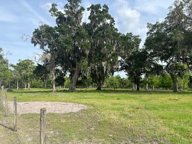 Tbd Corkwood Lane Astatula, FL 34705 - Photo 12 of 41 a grassy field with trees in the background