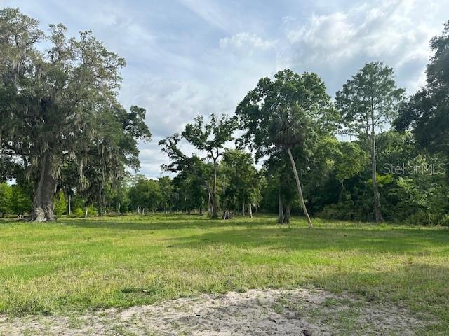 Tbd Corkwood Lane Astatula, FL 34705 - Photo 13 of 41 a view of a grassy field with trees in the background