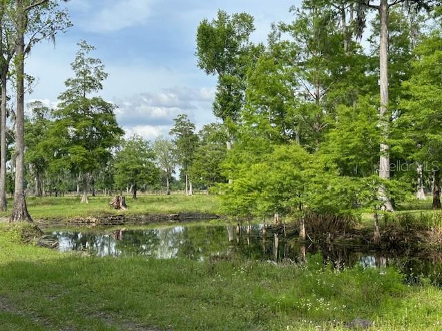 Tbd Corkwood Lane Astatula, FL 34705 - Photo 18 of 41 a view of a lush green space