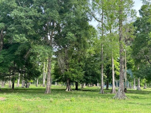 Tbd Corkwood Lane Astatula, FL 34705 - Photo 21 of 41 a green field with lots of trees