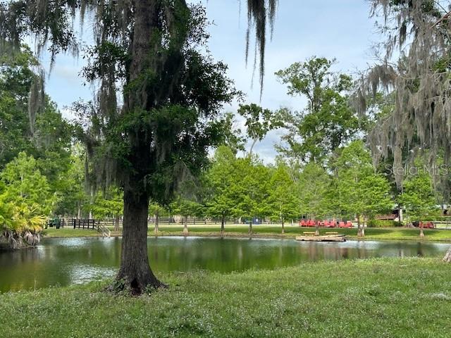 Tbd Corkwood Lane Astatula, FL 34705 - Photo 26 of 41 a view of lake with green space