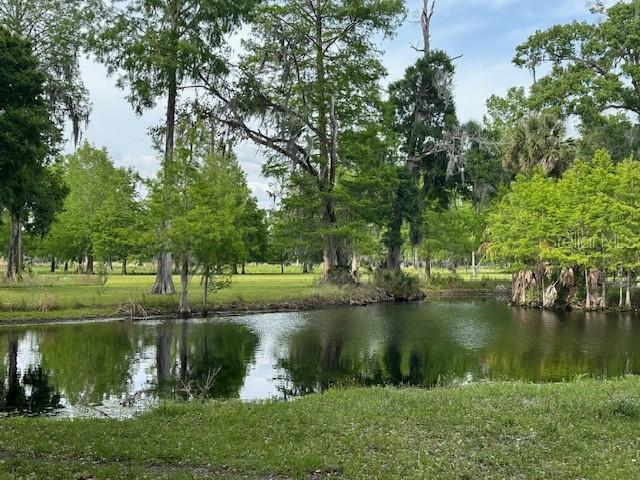 Tbd Corkwood Lane Astatula, FL 34705 - Photo 27 of 41 a view of a lake with a house and large trees