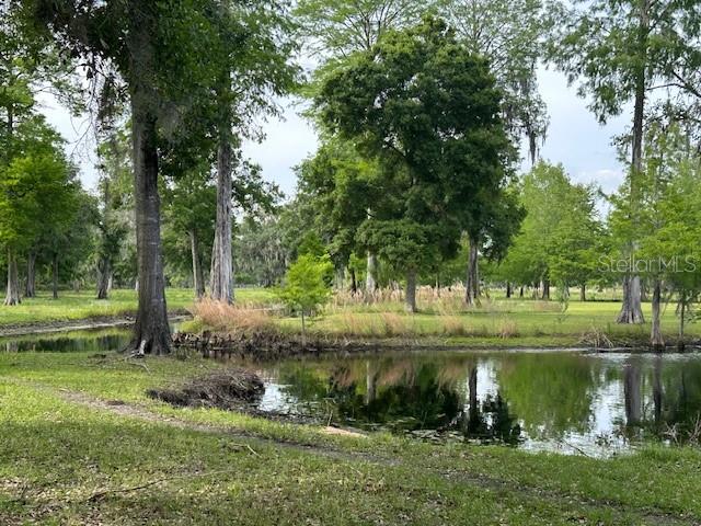 Tbd Corkwood Lane Astatula, FL 34705 - Photo 28 of 41 a view of a lake with a yard and large trees