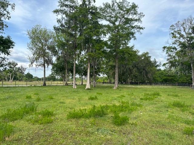 Tbd Corkwood Lane Astatula, FL 34705 - Photo 30 of 41 a view of a tree in a yard