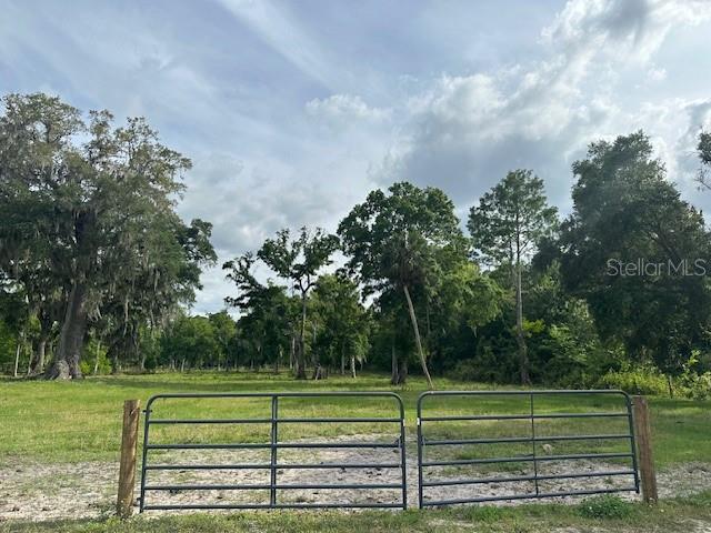 Tbd Corkwood Lane Astatula, FL 34705 - Photo 3 of 41 a view of a park