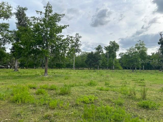 Tbd Corkwood Lane Astatula, FL 34705 - Photo 32 of 41 a view of field with trees in the background