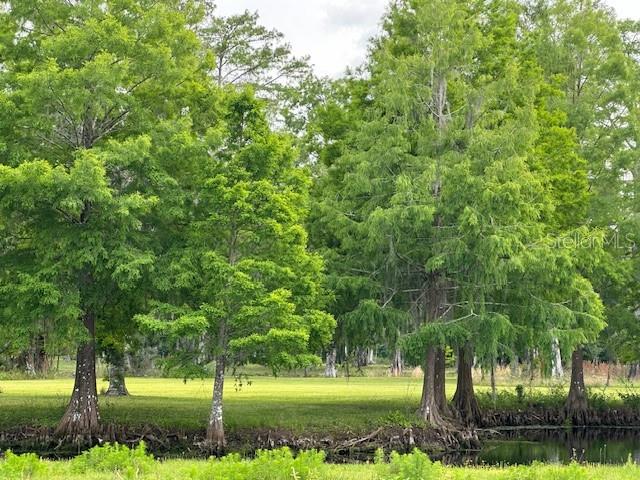 Tbd Corkwood Lane Astatula, FL 34705 - Photo 35 of 41 a view of a yard with plants and trees