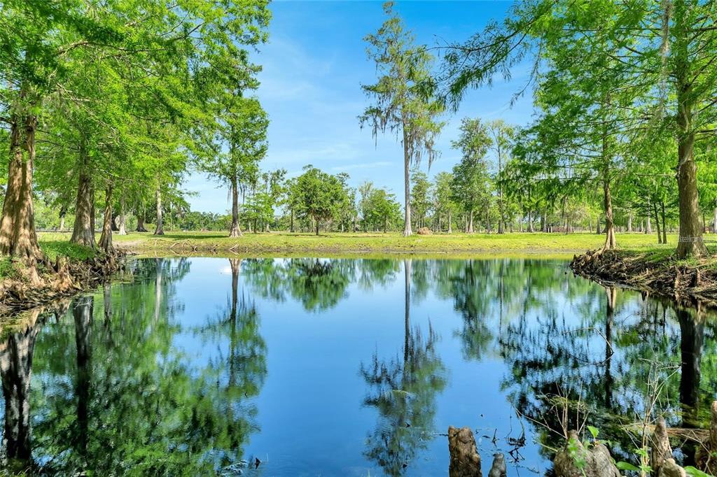Tbd Corkwood Lane Astatula, FL 34705 - Photo 7 of 41 a view of lake