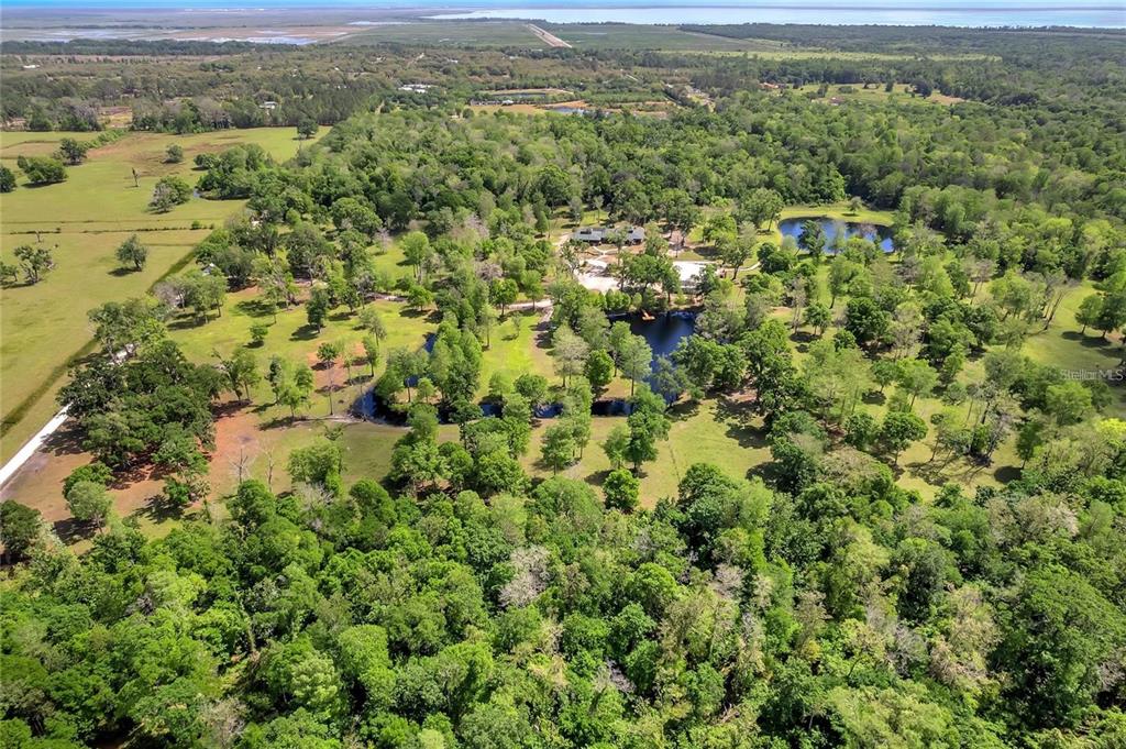 Tbd Corkwood Lane Astatula, FL 34705 - Photo 9 of 41 a view of a forest with a street