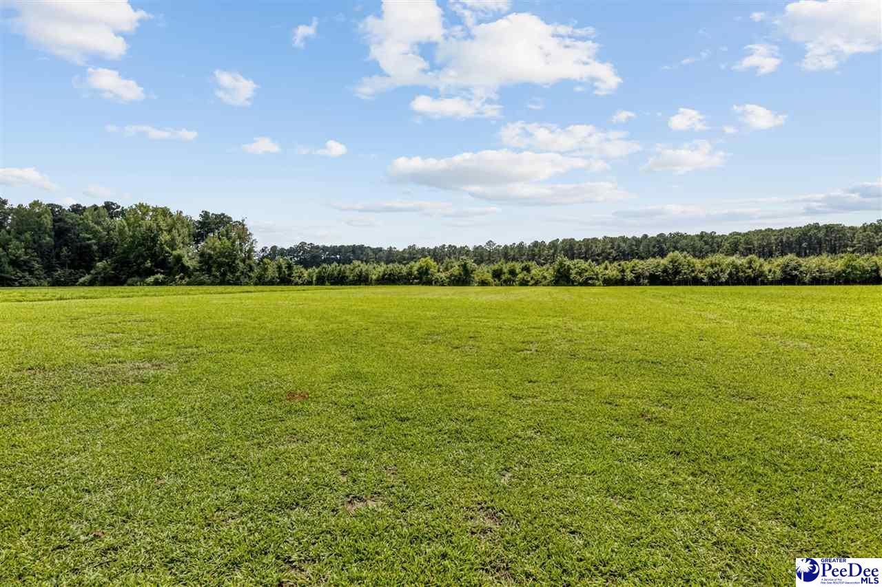 3549 Krystal Farm Road Mullins, SC 29574 - Photo 44 of 44 Gallery Image 44