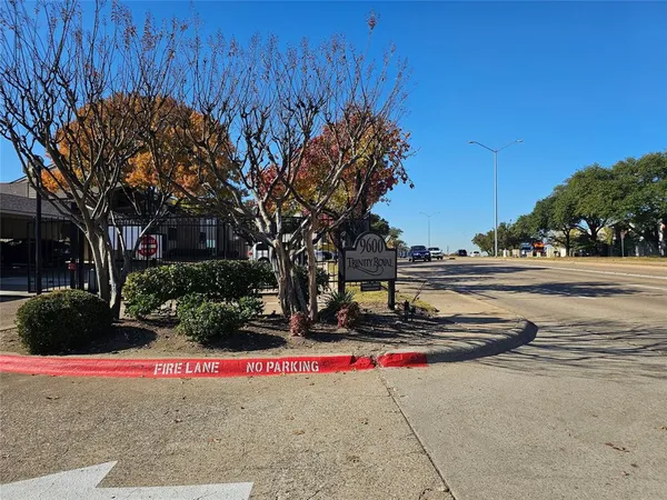 a view of road and trees