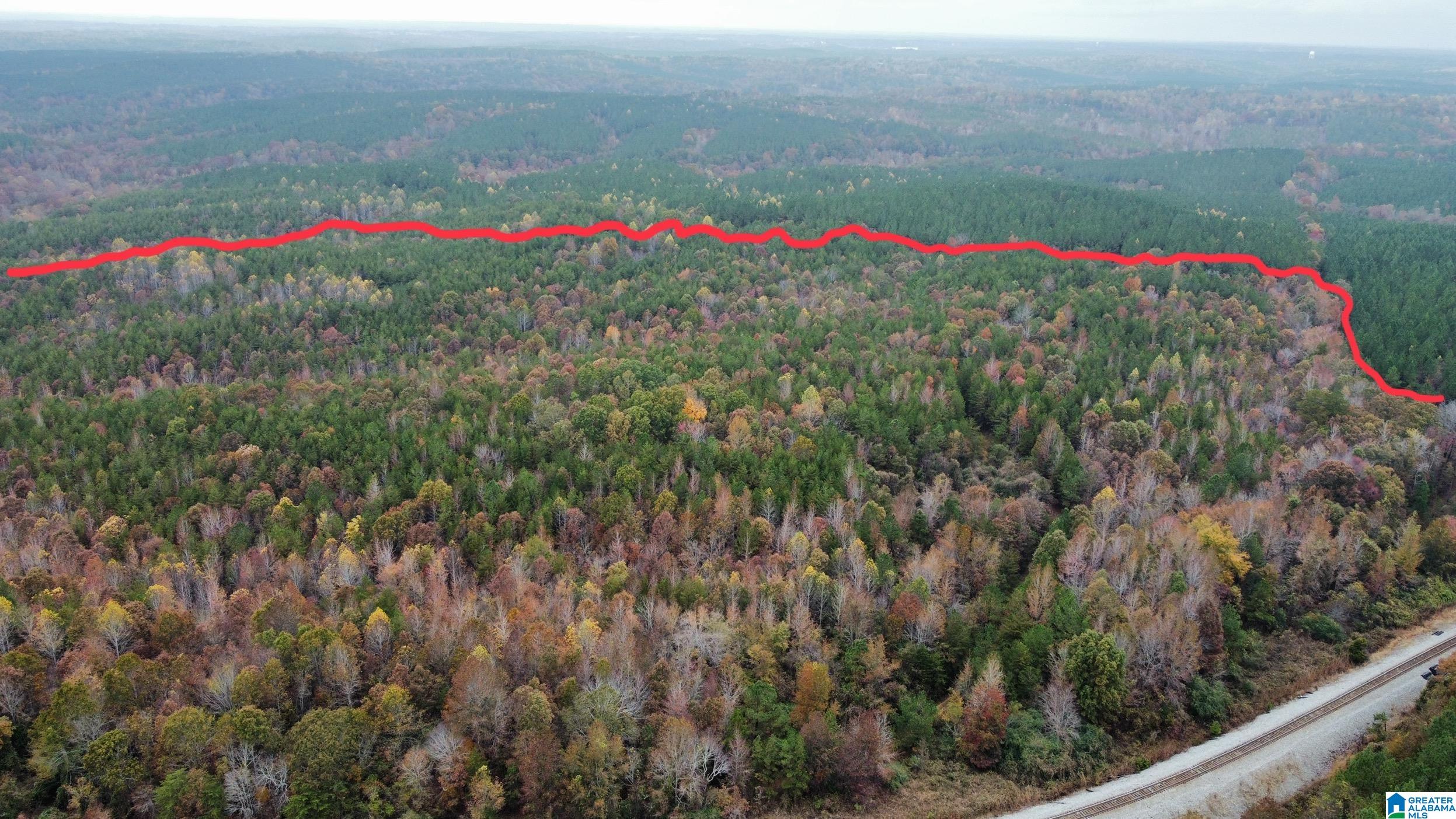 83-acres Byler Road, Unit 83 ACRES Haleyville, AL 35565 - Photo 12 of 19