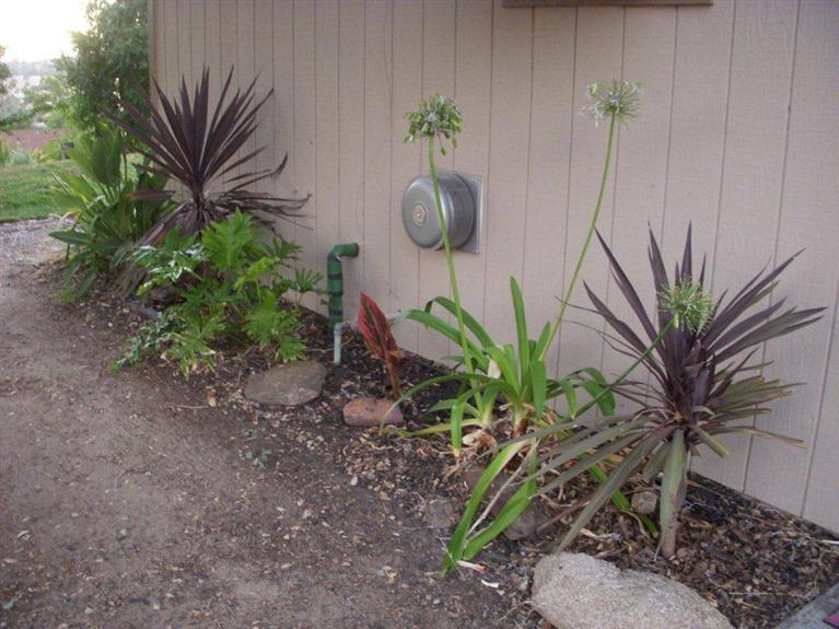 28311 River Rd Way Madera, CA 93636 - Photo 20 of 36
