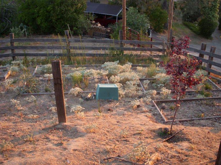 28311 River Rd Way Madera, CA 93636 - Photo 28 of 36