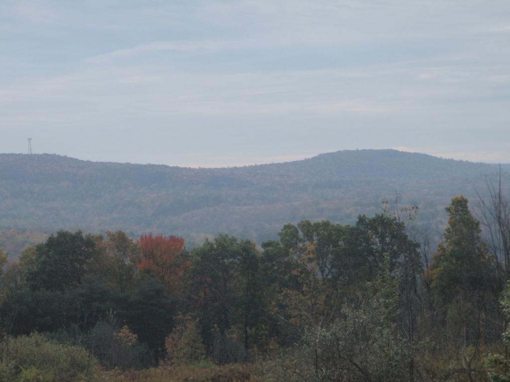 117 Flagg Road Binghamton, NY 13904 - Photo 7 of 10 Gallery Image 7