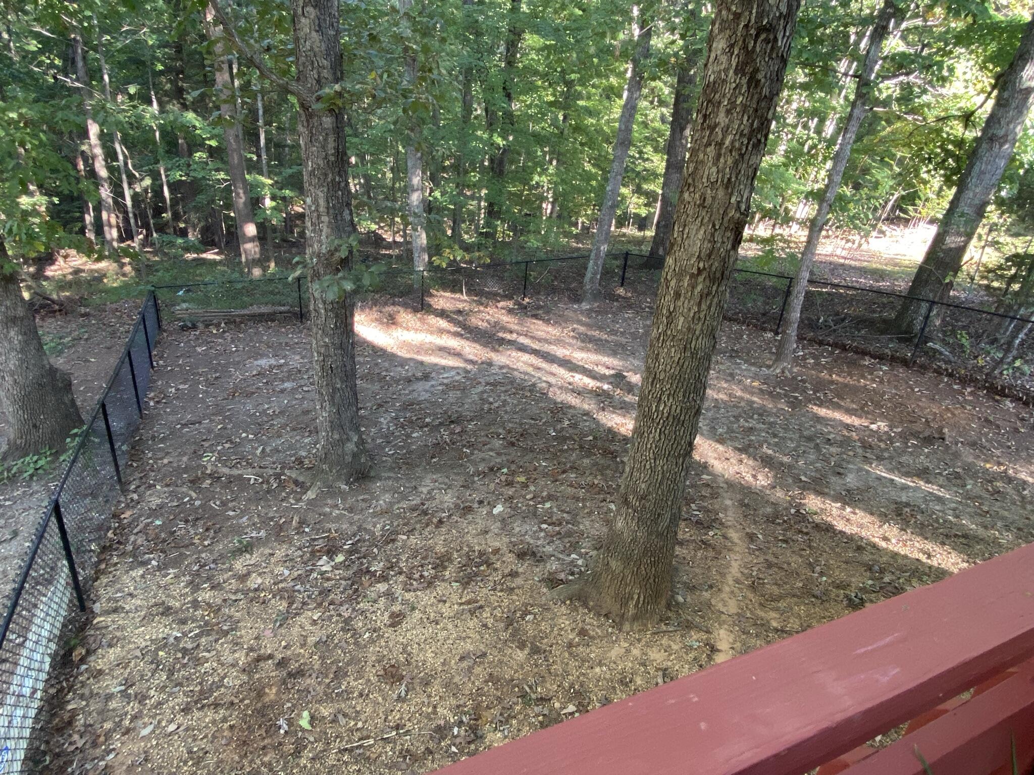 2029 Webster Road Glade Hill, VA 24092 - Photo 54 of 57 51 Fenced Yard