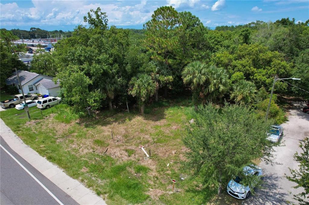 319 West Silver Star Road Ocoee, FL 34761 - Photo 6 of 24 a backyard of a house with lots of green space