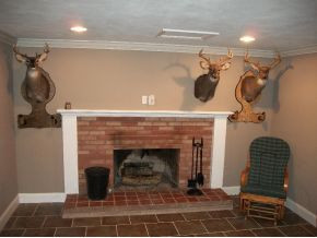 4315 Mt Carmel Road Mosheim, TN 37818 - Photo 6 of 8 Downstairs Family Room