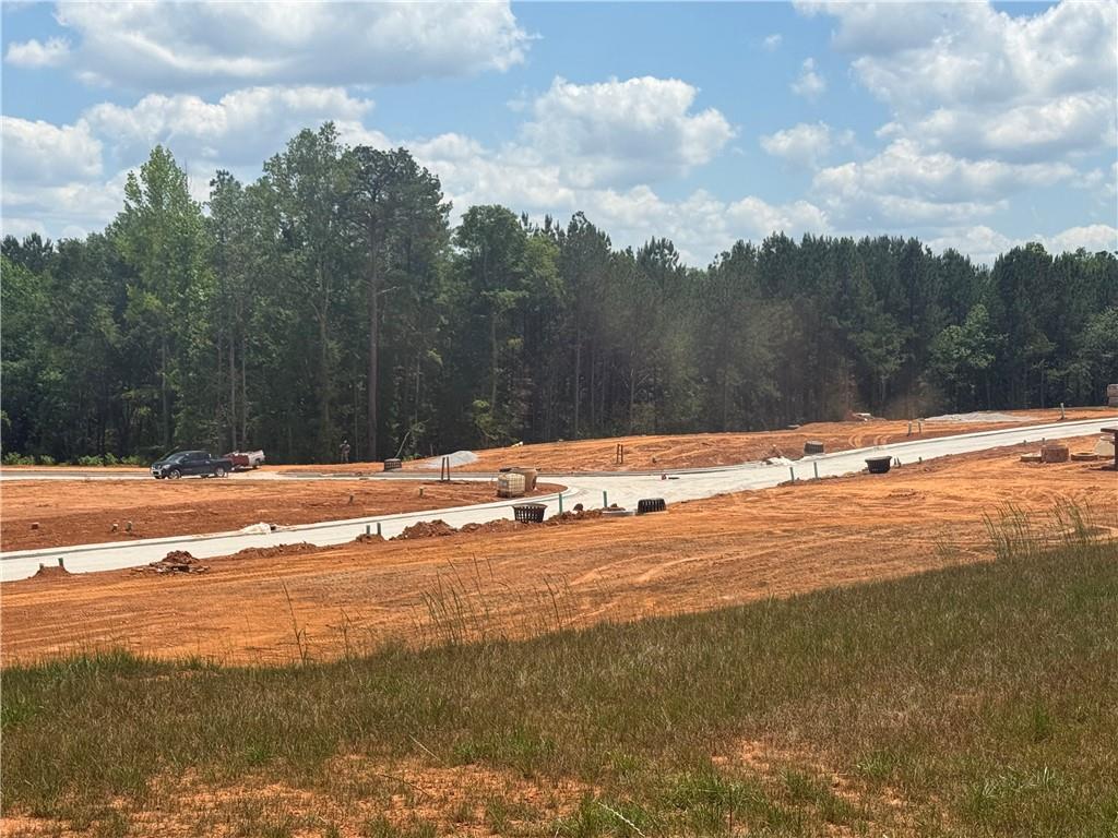 0 Skinner Road Carrollton, GA 30117 - Photo 8 of 9